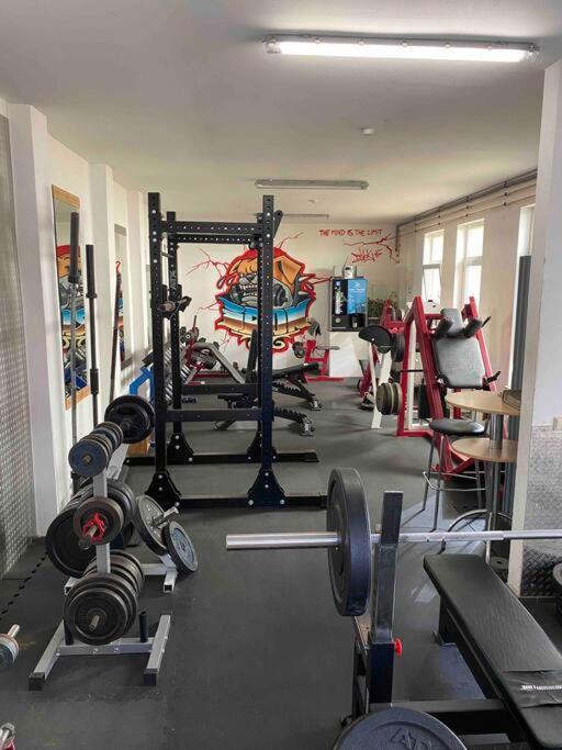 Ferienwohnung Mit Fitnessstudio Top1 Plauen Zewnętrze zdjęcie